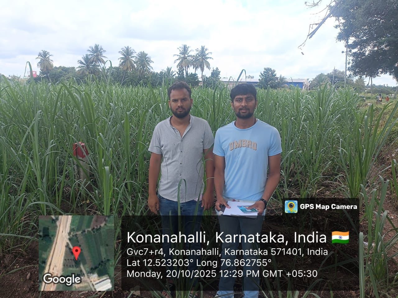 Study on Sugarcane Cultivation Practices and Challenges Faced by Farmers in the Mandya Region