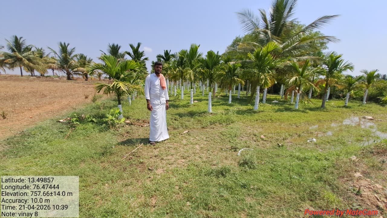 Sustainable Arecanut Farming: Challenges, Innovations, and Solutions in Dryland area under irrigated condition.