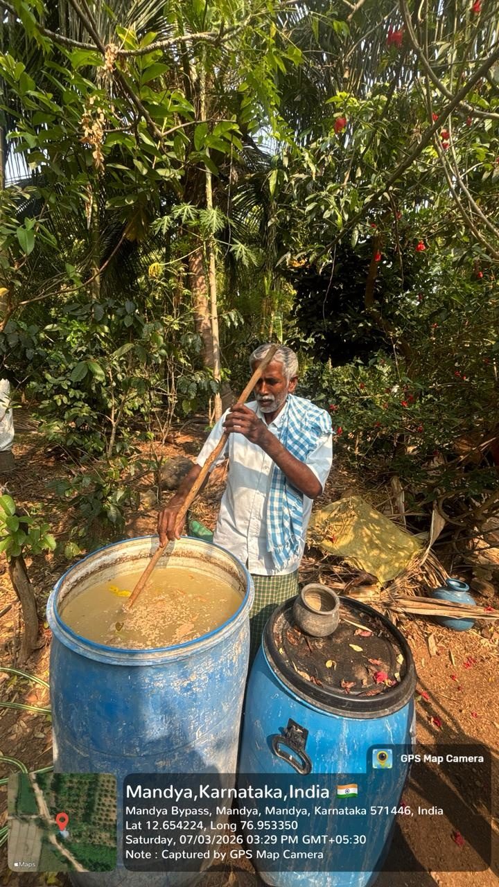Study on Multilayer Organic Farming Practices Followed by a Farmer in Mandya
