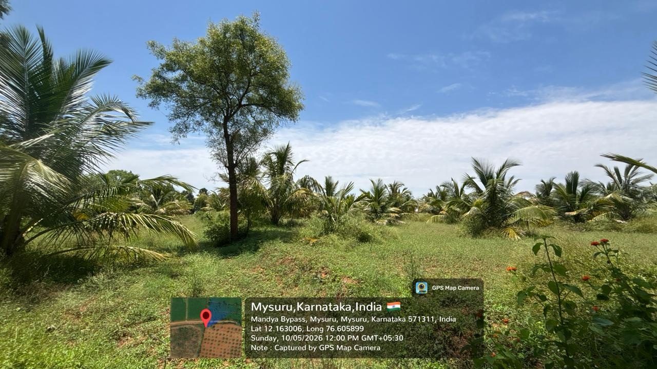 Field Study on Sustainable Agroforestry and Multilayer Farming System