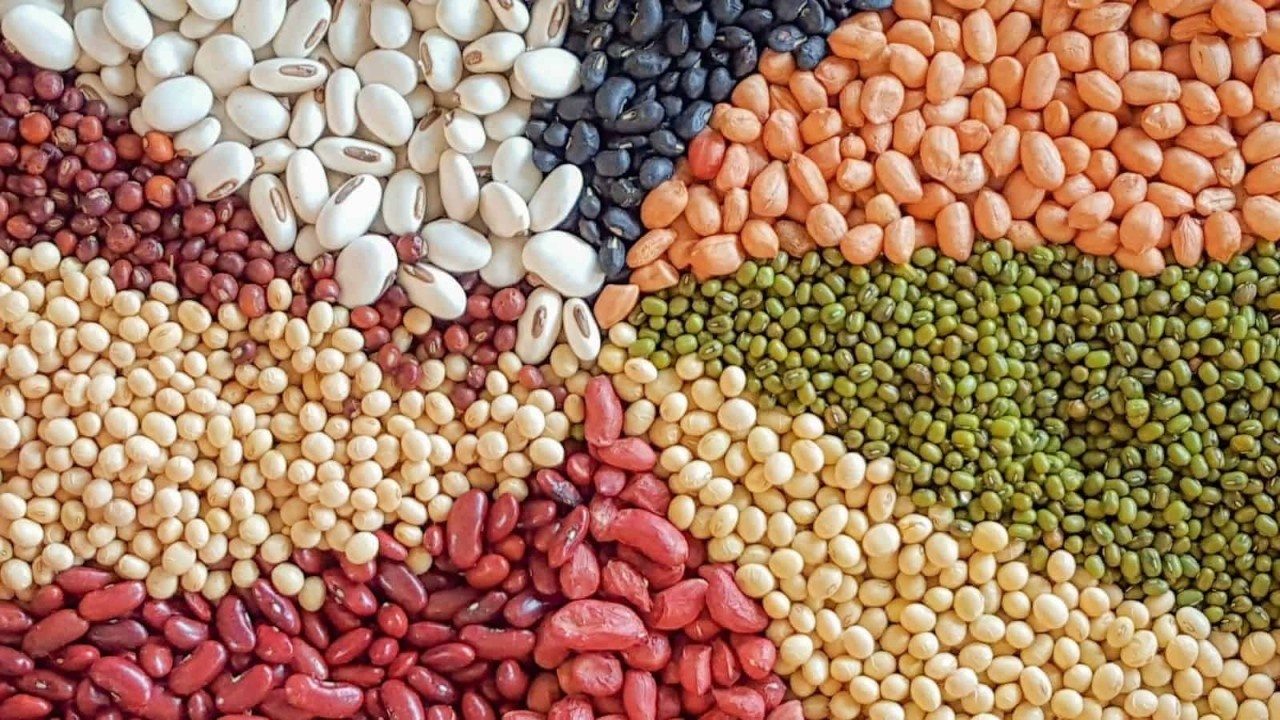 Pulses (Tur, Gram)