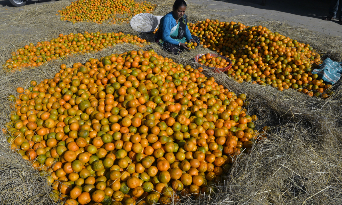 Citrus